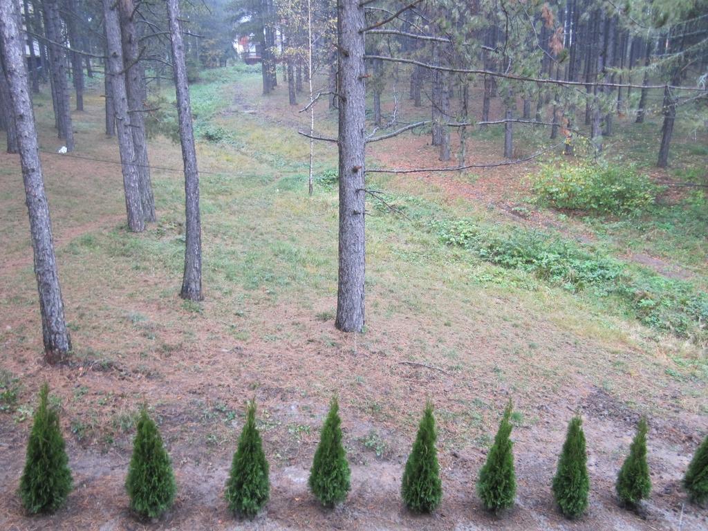 Apartment Kiki Zlatibor Værelse billede